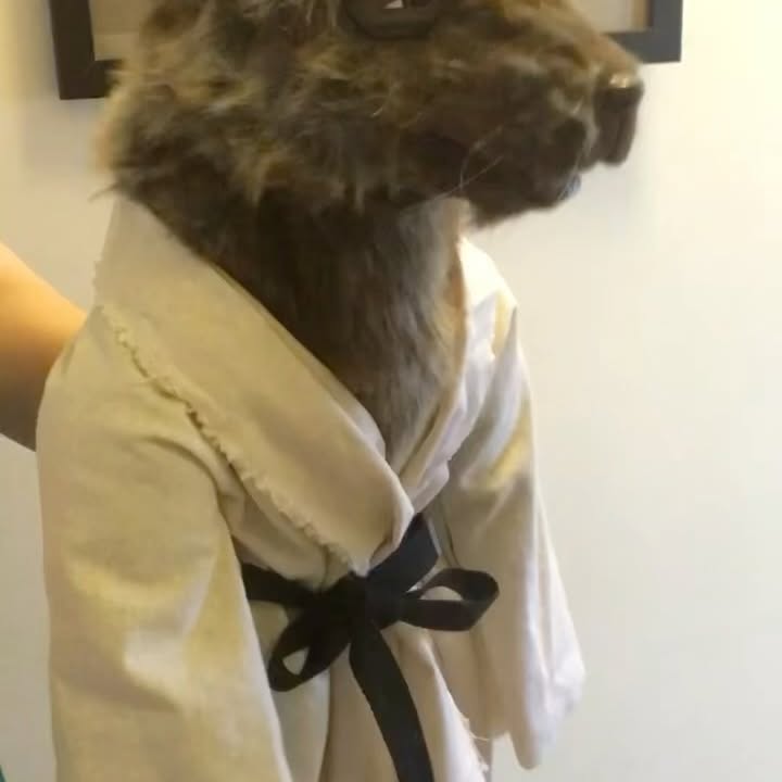 Daniella Pineda Celebrates Unique Puppet Artistry