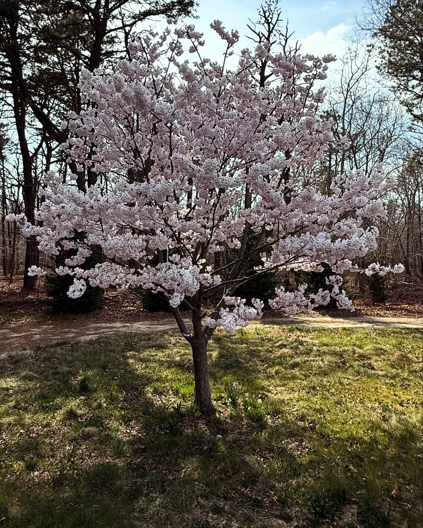 David Burtka Captures Spring Moments In Candid Photo Series David Burtka treats fans with spring snapshots capturing nature’s vibrant allure in bloom!