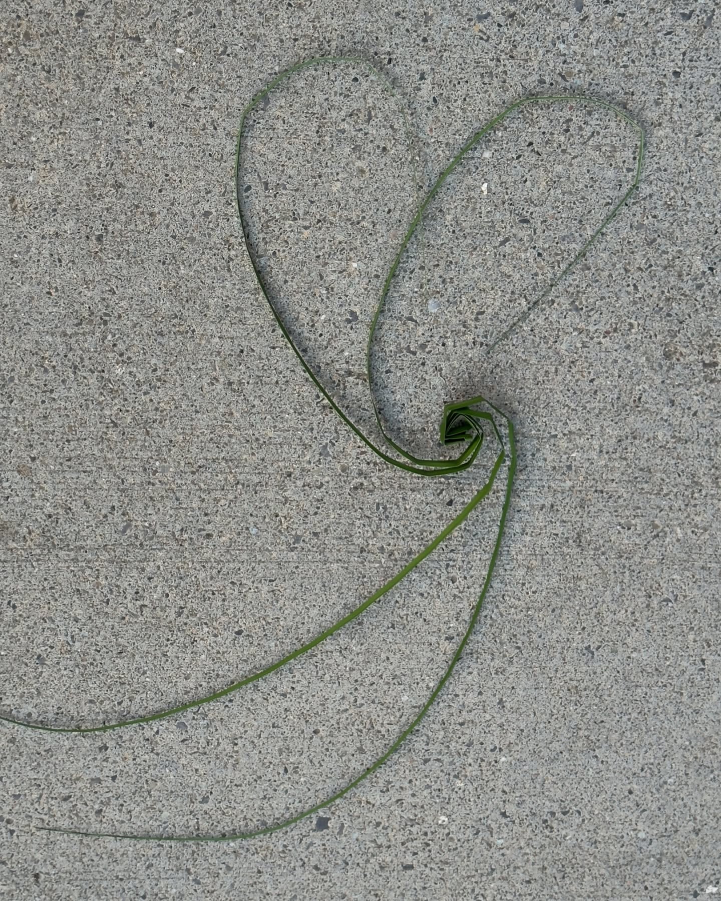 Byrne transforms sidewalks into a cosmic canvas, sparking vibrant urban creativity now!!!