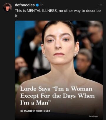 Def Noodles Weighs In On Lorde And Woke Culture