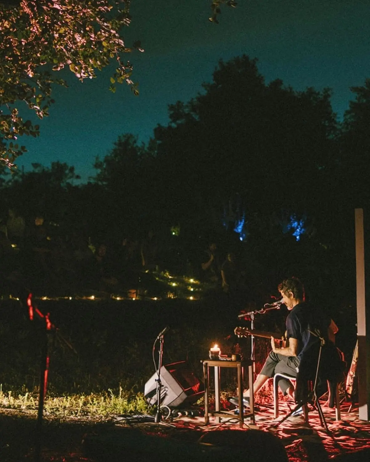 Tour updates: Devendra Banhart celebrates unique collabs and creative stage performances!!