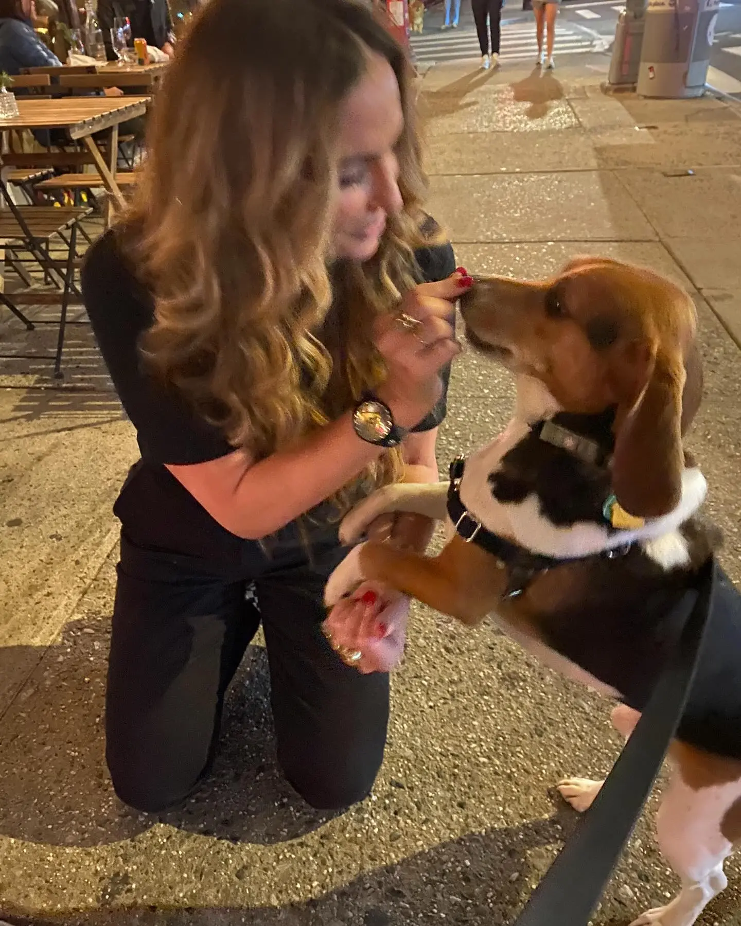 Drea De Matteo Celebrates Dougal Treats in NYC Drea de Matteo’s spotlight moment with her beagle, Dougal, brings NYC street charm to life.