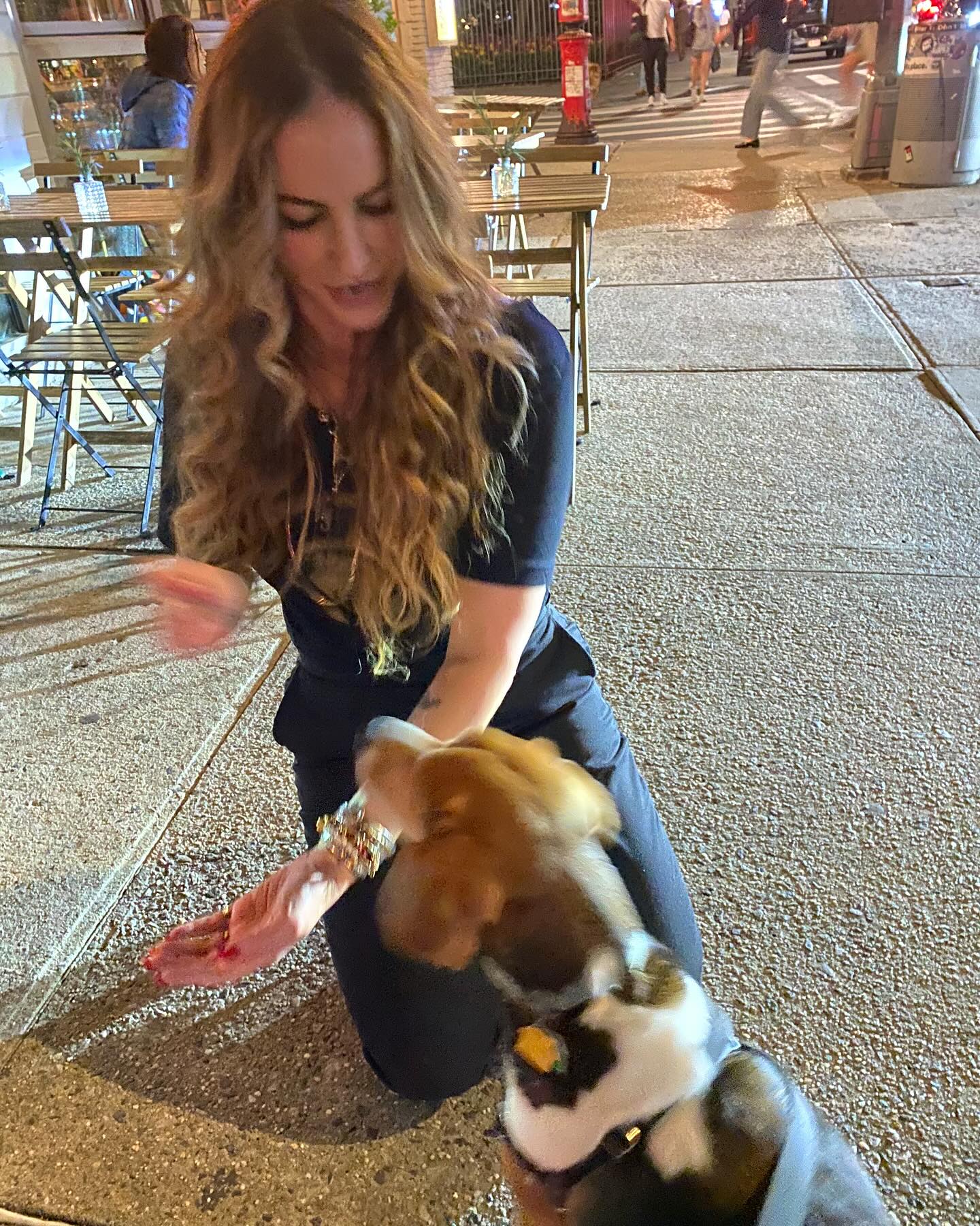 Drea De Matteo Celebrates Dougal Treats in NYC
