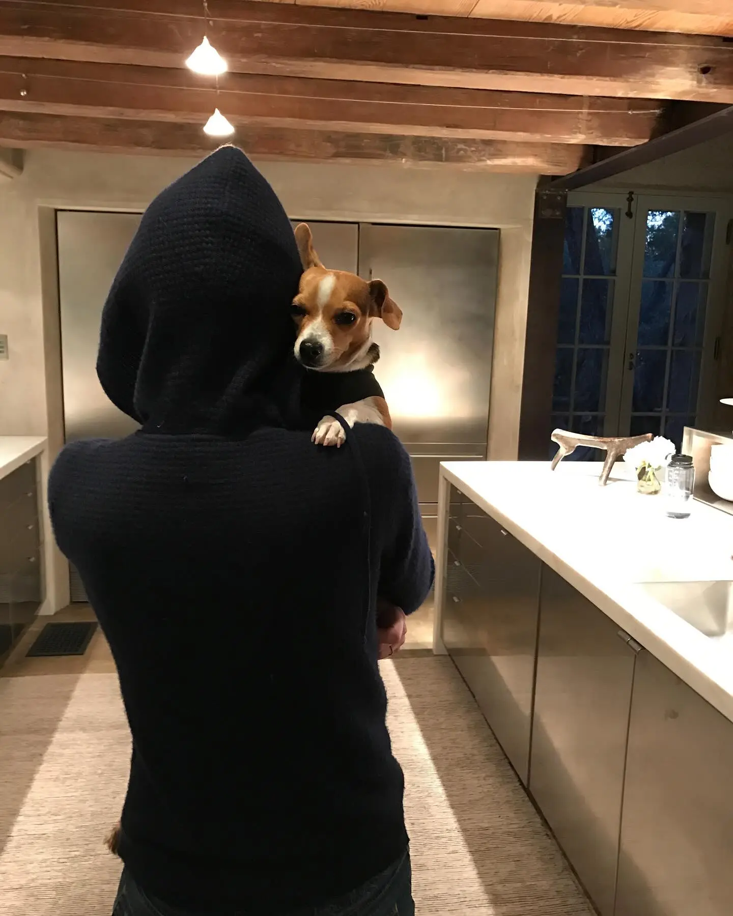 Ellen DeGeneres Bids Farewell To Beloved Pet Augie