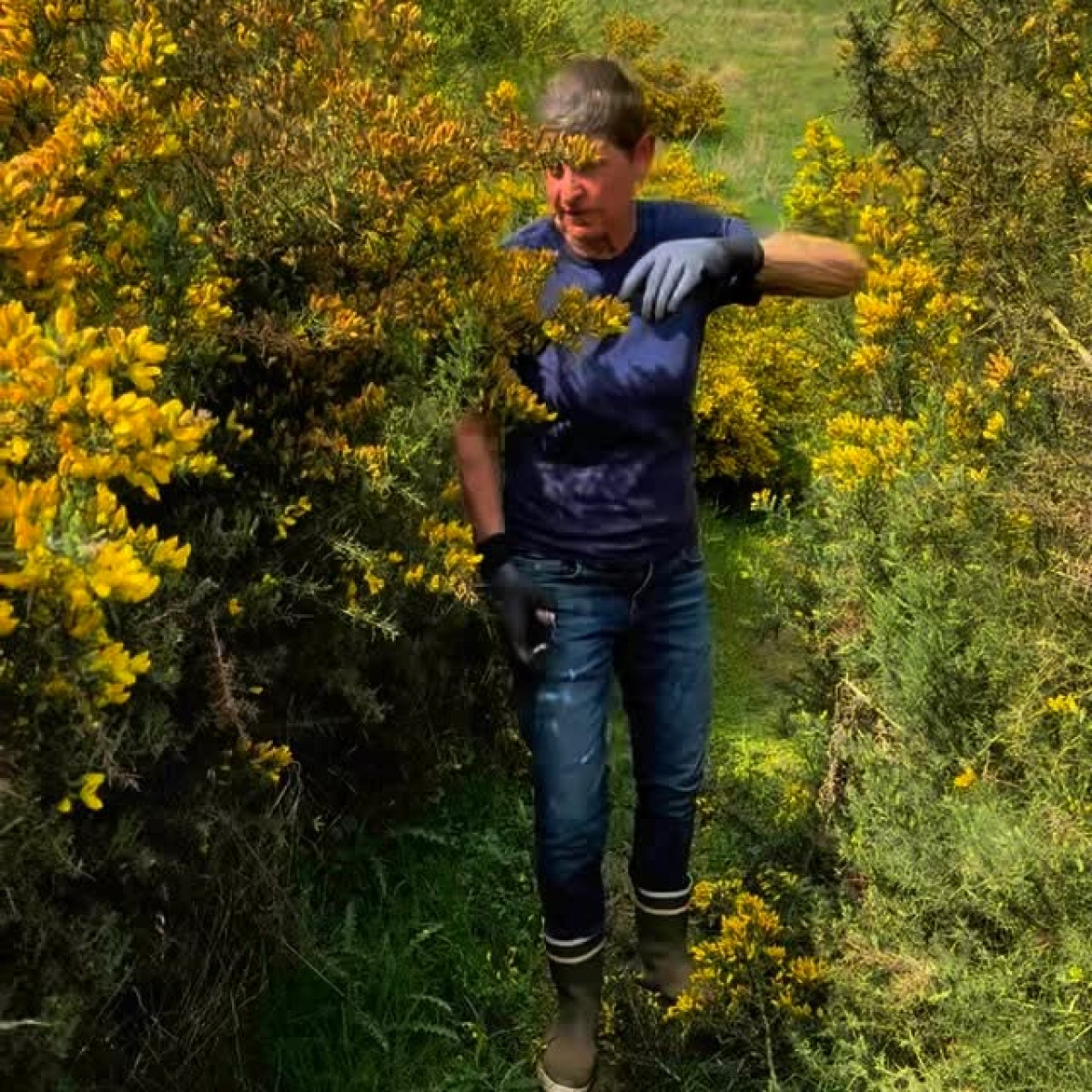 Ellen DeGeneres shows quirky style, swapping lights for lawn care and true farming dreams.