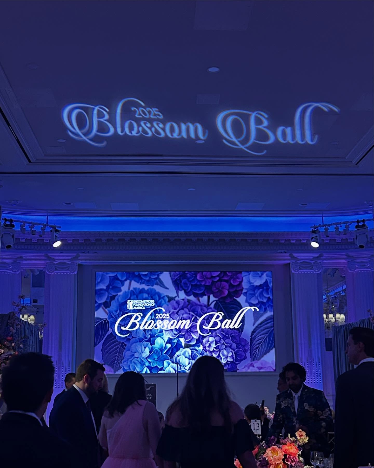 Empowering Night at BlossomBall Inspires Endo Warriors