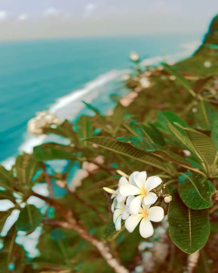 Envision Infinite Luxury: Bulgari Bali Retreat