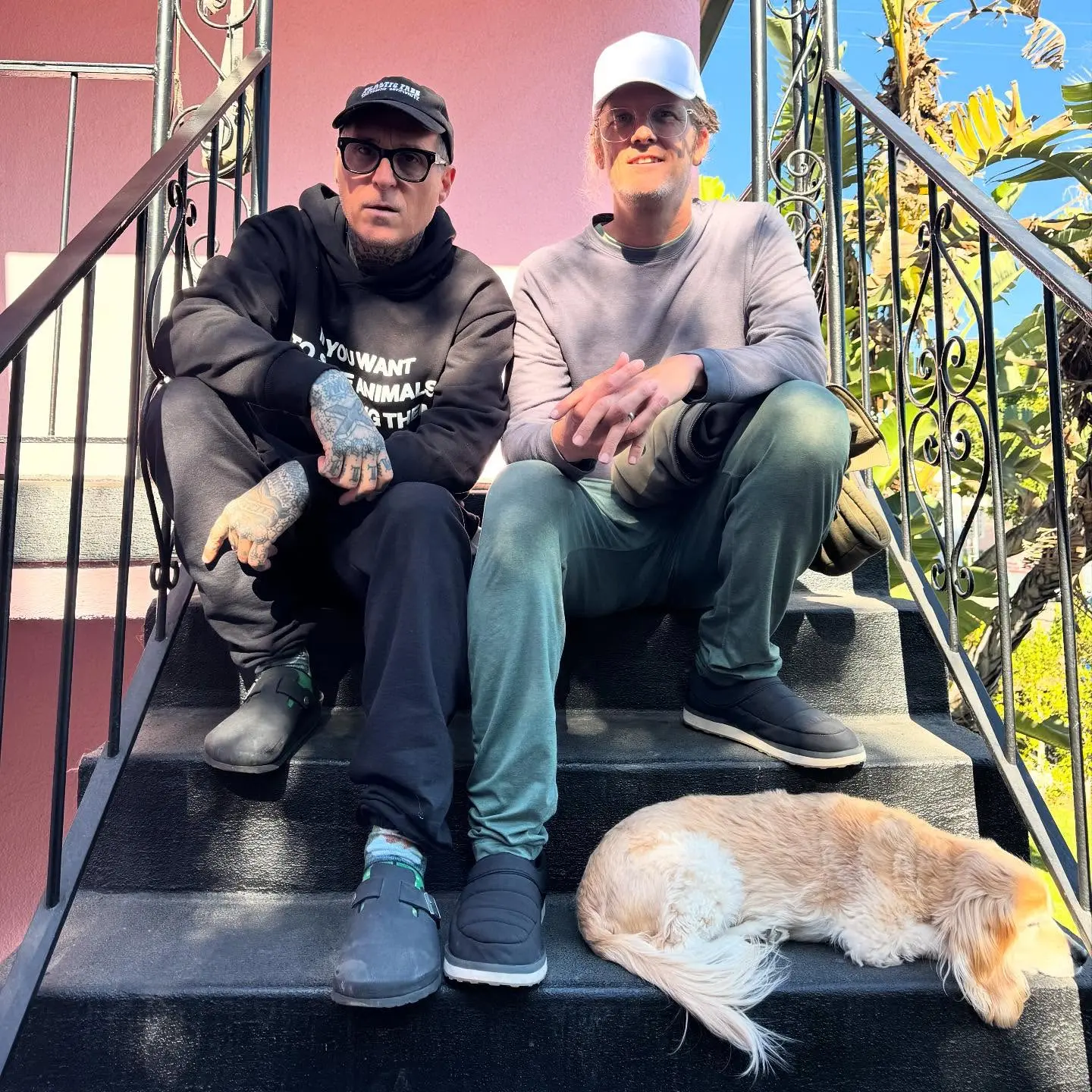 Episode 340: Kip Andersen’s Activism Uncovered Vibrant chat on unwavering commitment, bravery, and selfless action for wildlife and Earth