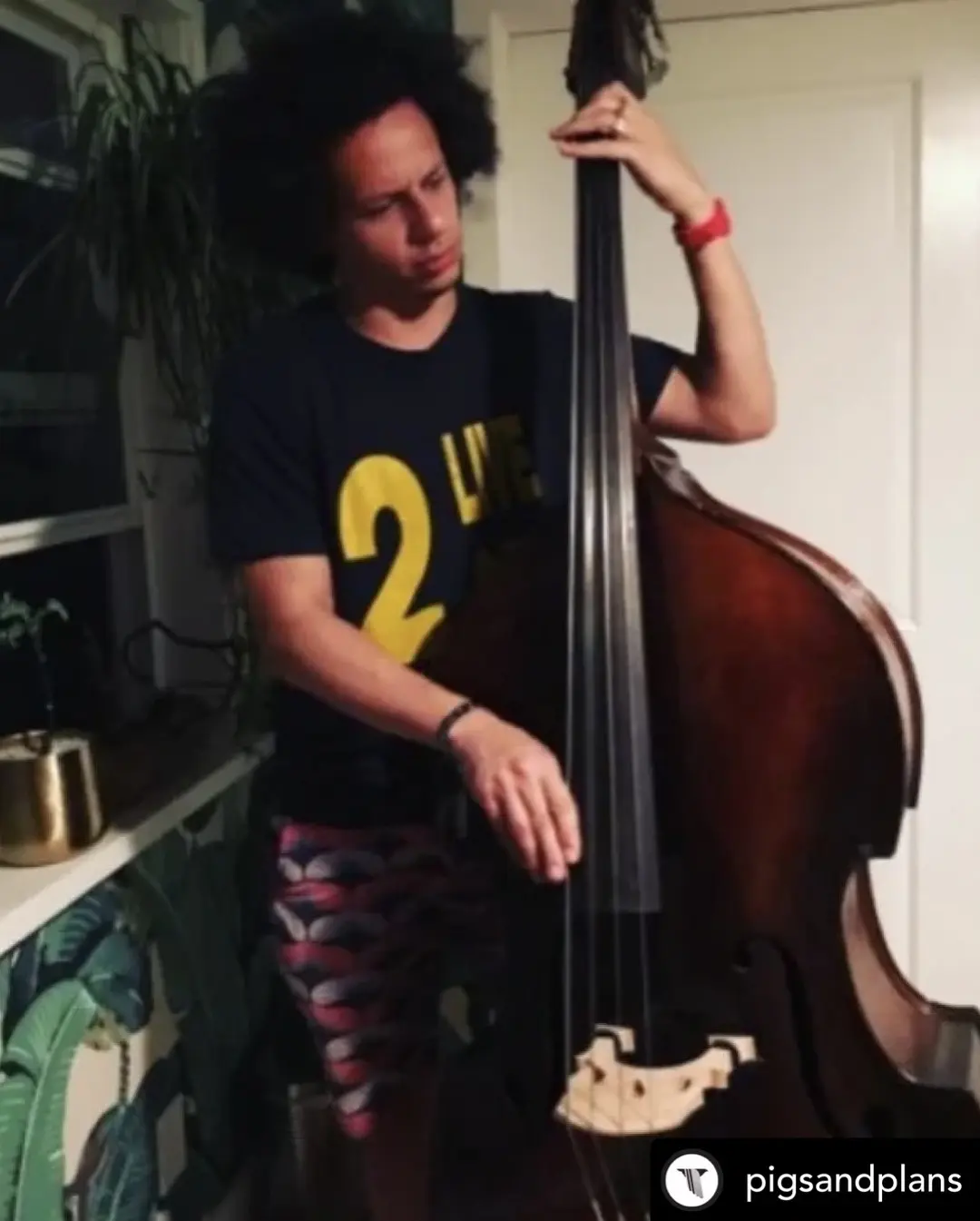 Eric André’s Upright Bass Confession