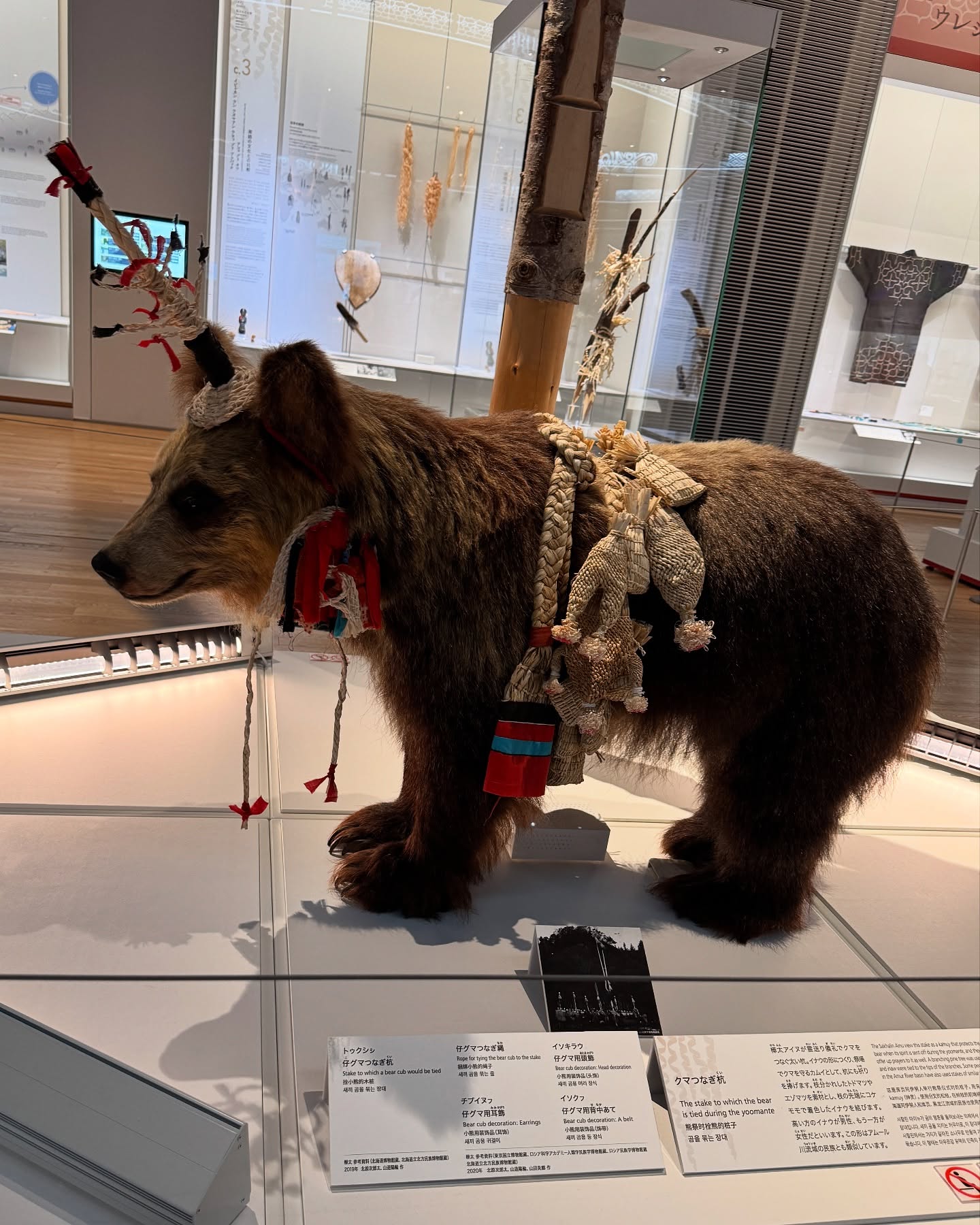 Erika Ishii Explores Ainu Culture In Hokkaido
