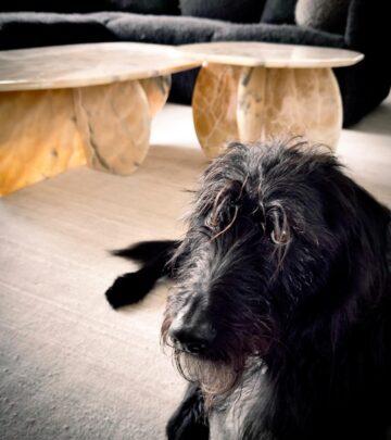 Emerging From Family Life, Erin Daniels Showcases Her Son Doug And Chic Home Decor In Vogue