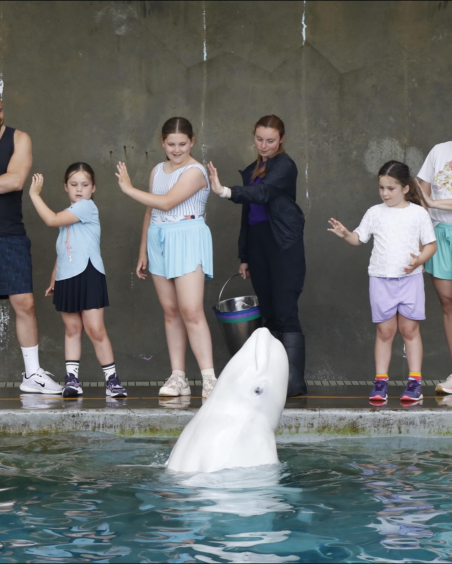 Family Baby Moon Joy At SeaWorld Orlando