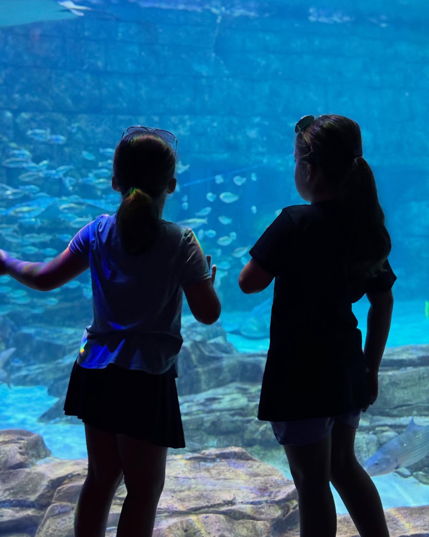 Family Baby Moon Joy At SeaWorld Orlando