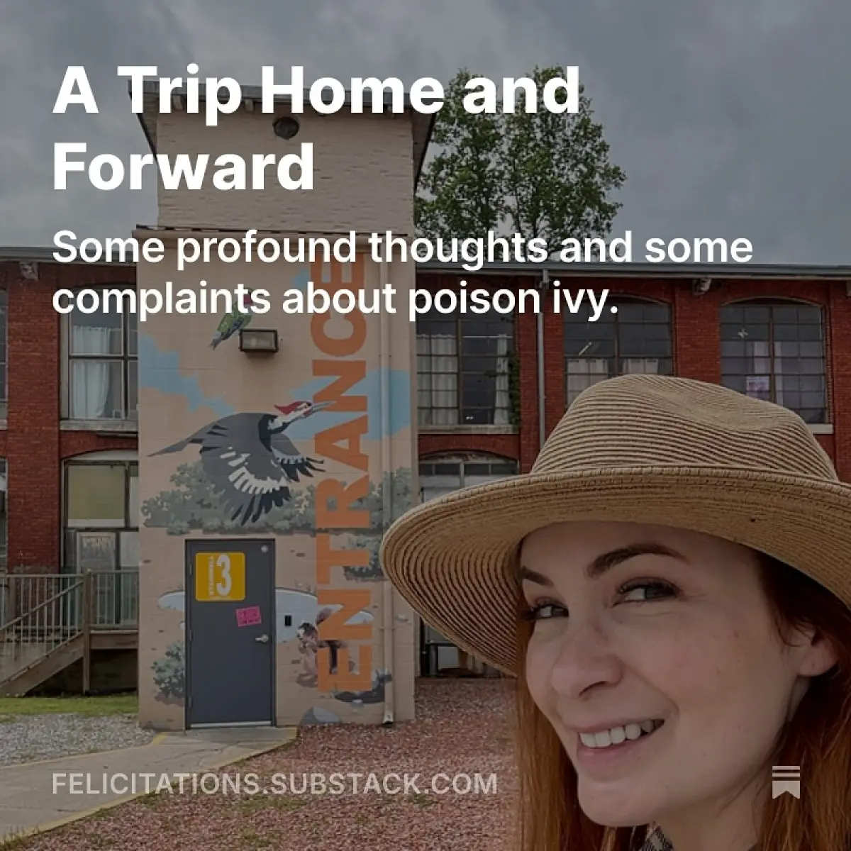 Felicia Day Launches New Free Newsletter Stay updated monthly from Felicia Day, bypassing algorithms for a genuine connection Today.