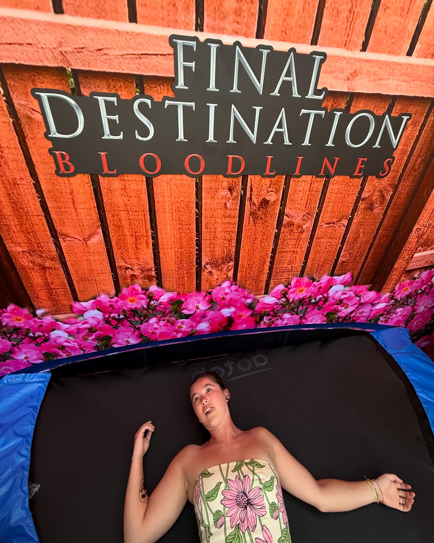 Final Destination Movie Delivers Bloody Humor