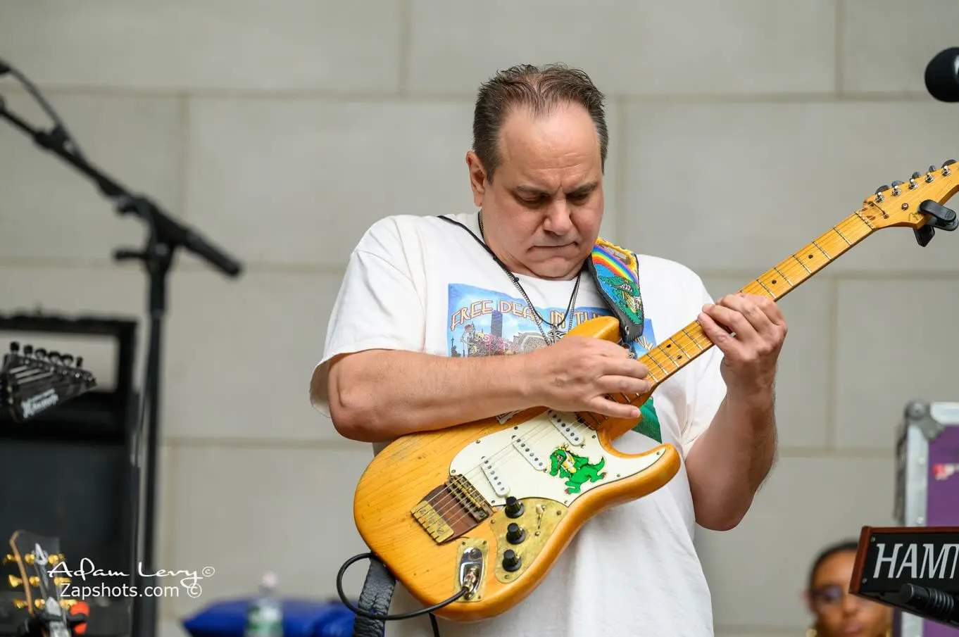 Free Dead In The Park 2025 Sparks Live Magic