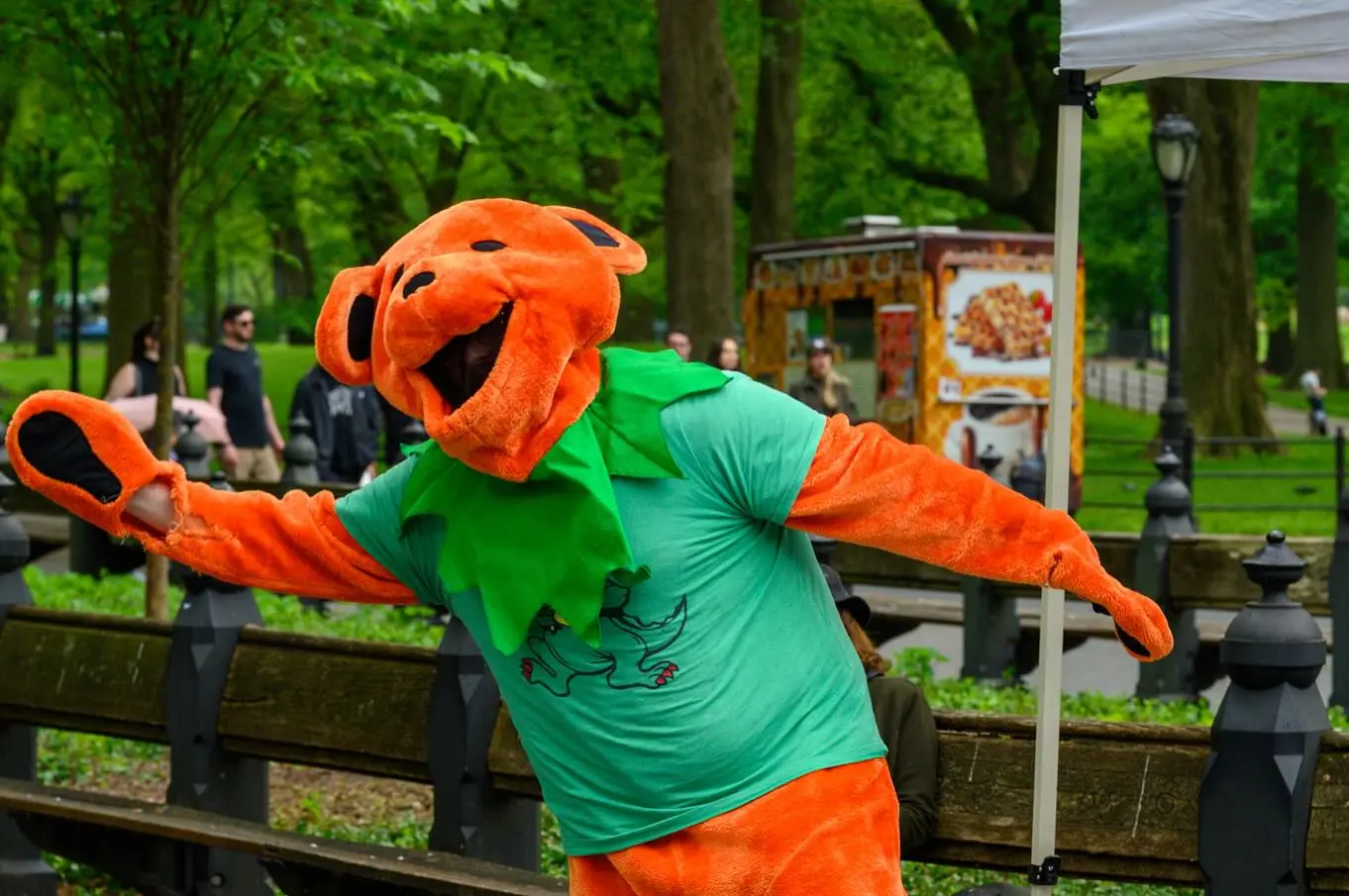Free Dead In The Park 2025 Sparks Live Magic