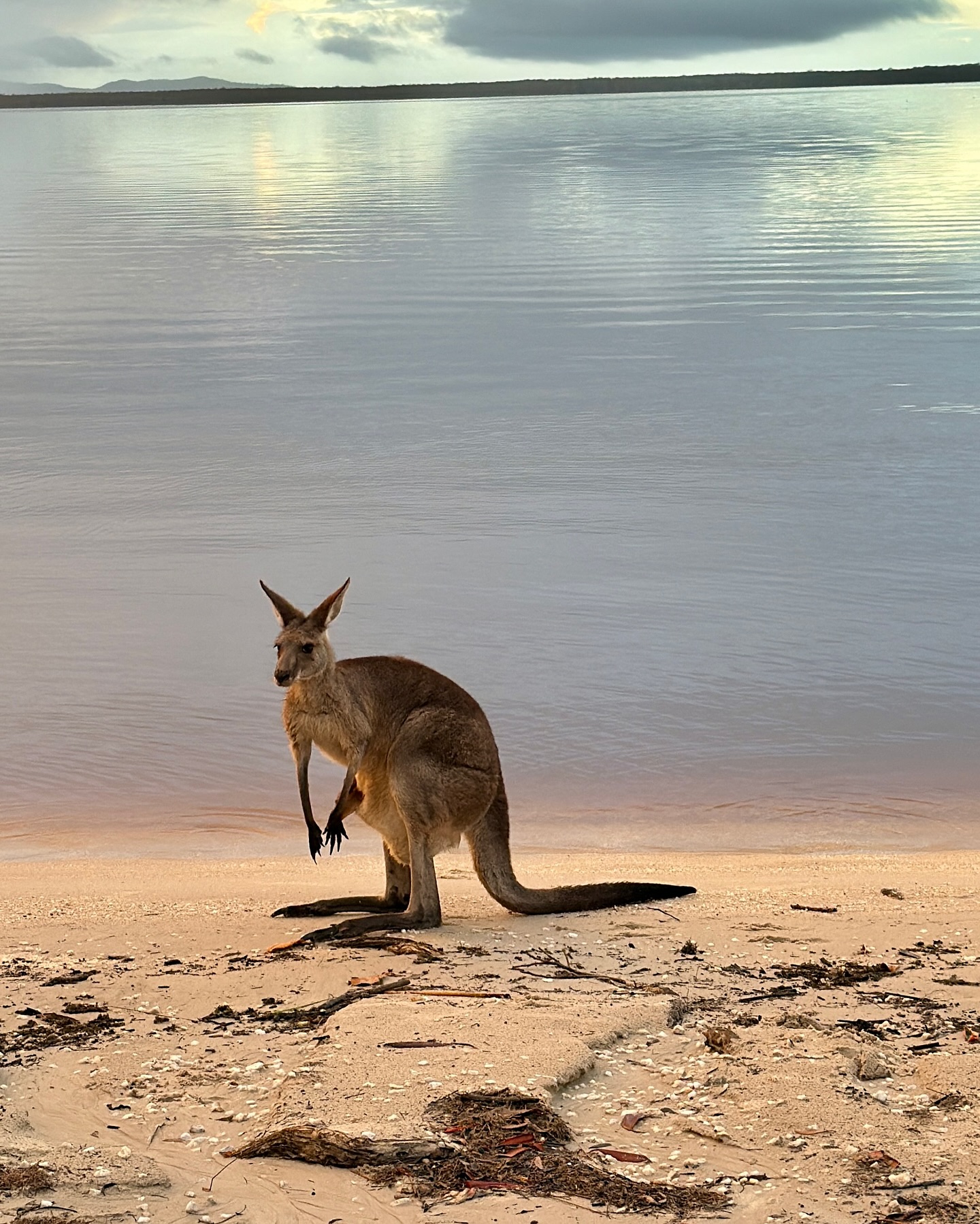 Gabriela Short Explores Australia’s Wonders on Epic Journey