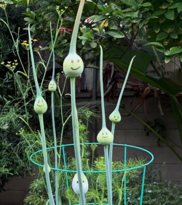 Celebrity actor shares his seasonal onion tip, blending humor and organic farming wisdom!!