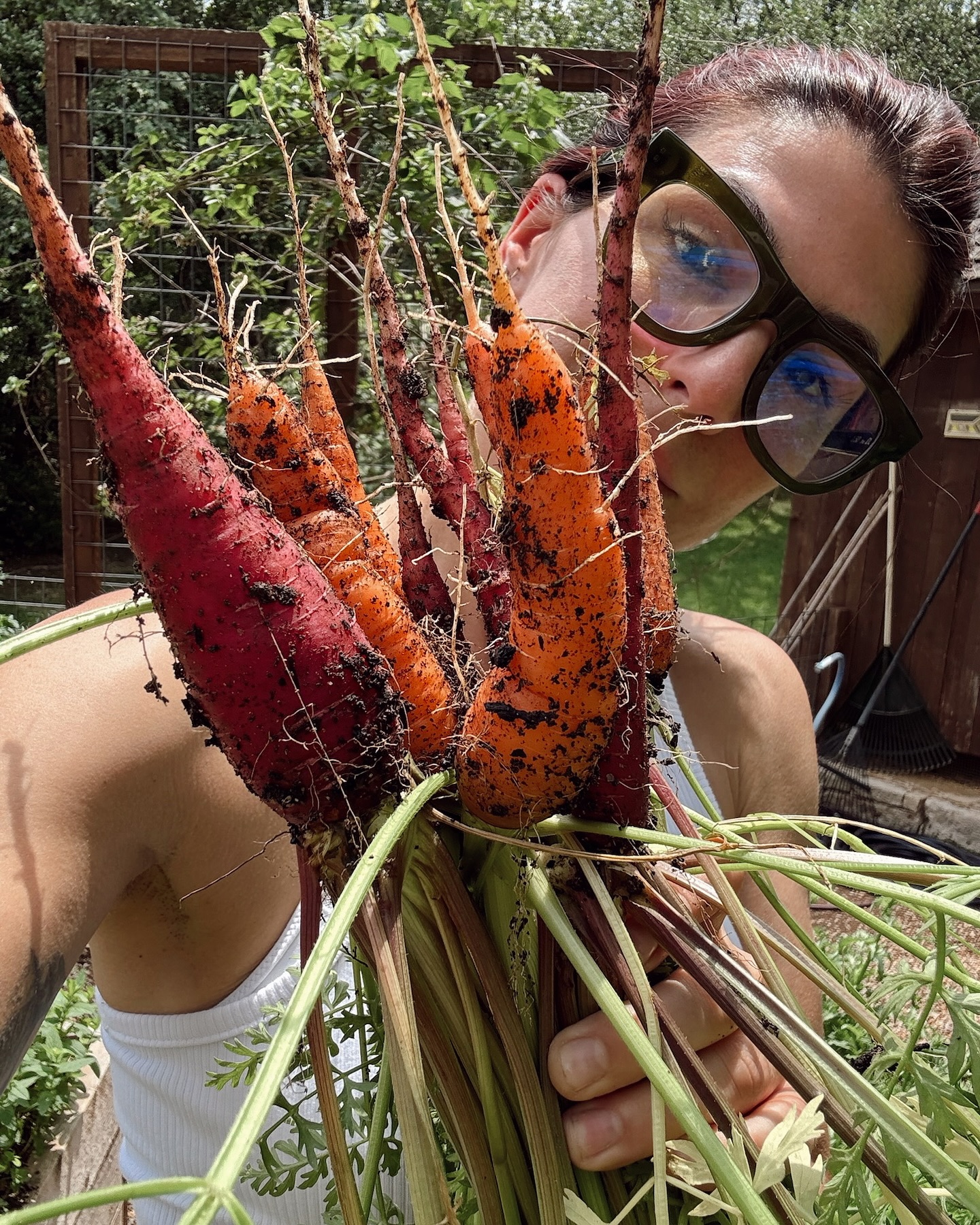 Genevieve Padalecki’s Garden Escape Celebrity Genevieve Padalecki shares serene garden moments with vibrant nature and playful