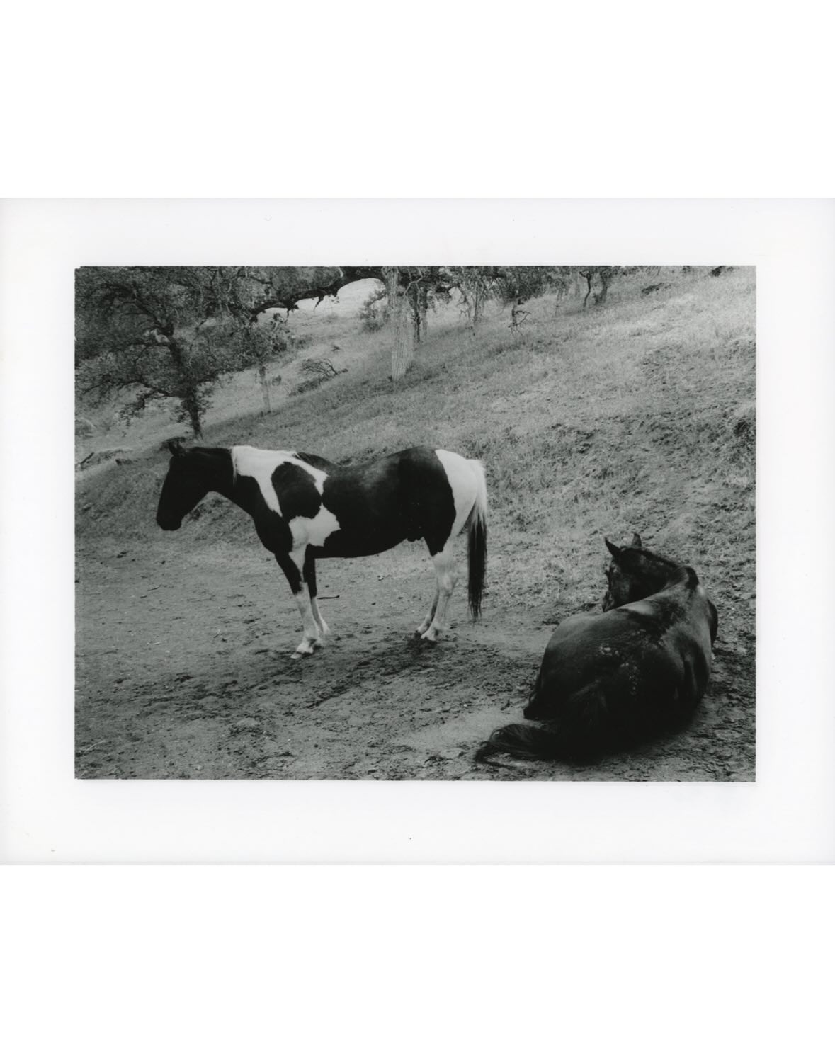 Gill Landry Announces Exclusive Art Sale