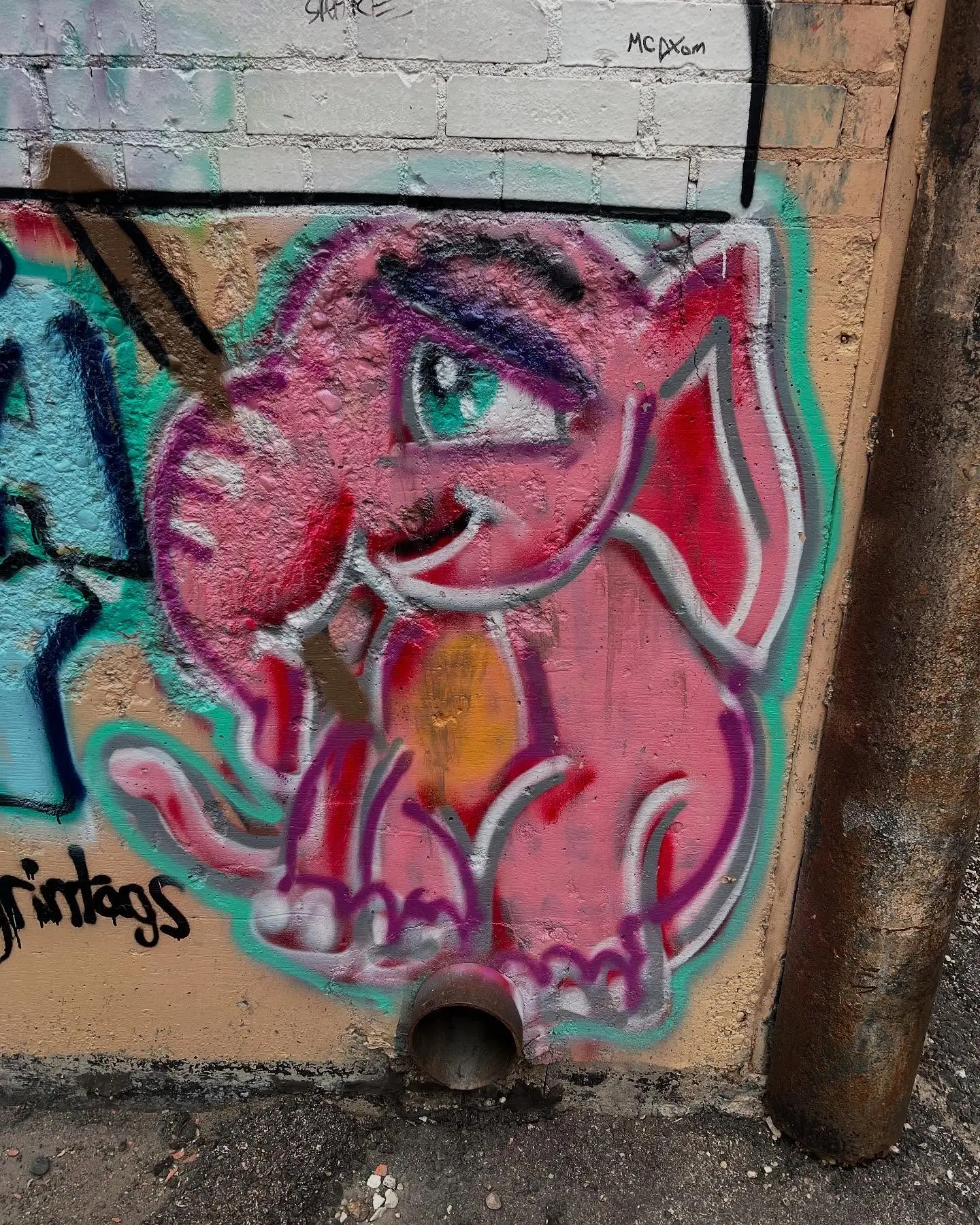 Graffiti Wisdom In Casper Alleys