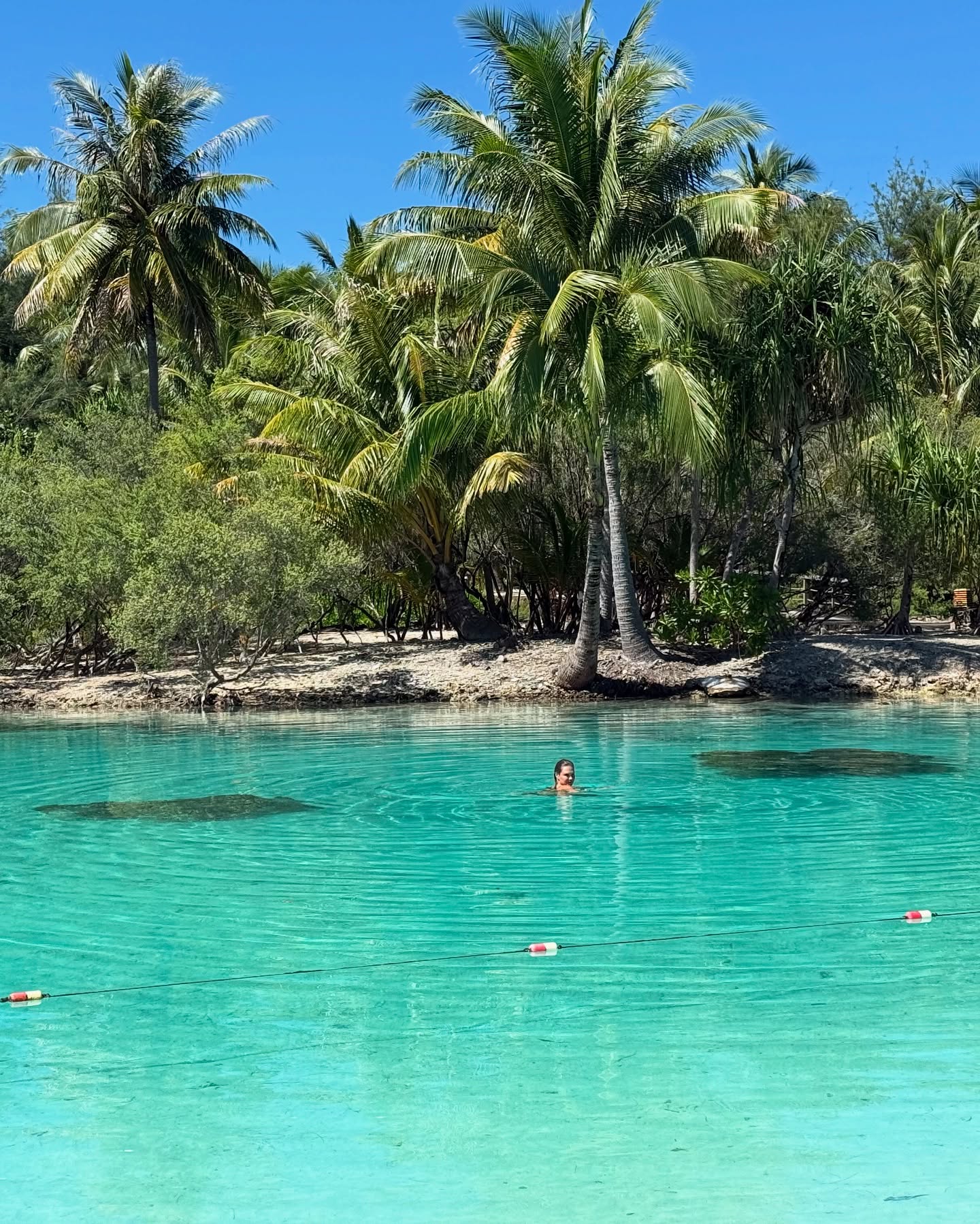 Grandma’s Offer Sparks Direct Flight To Polynesia