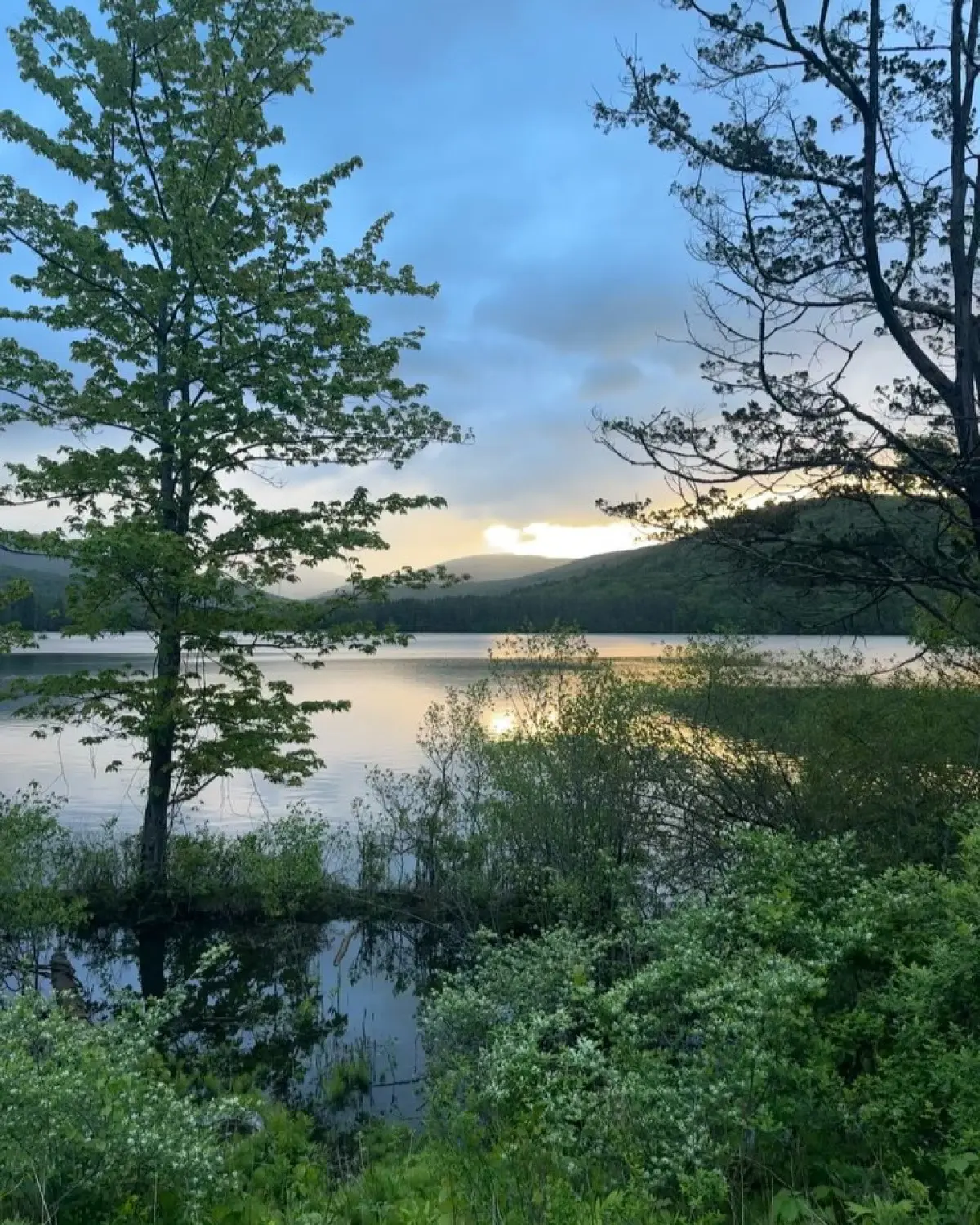Greta Morgan savors vivid spring sunrises that epitomize nature’s tranquil, reborn spirit.