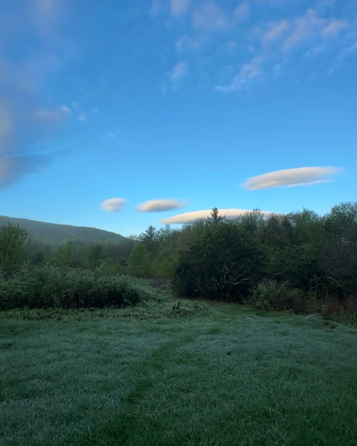 Greta Morgan Embraces Lush Spring Sunrises