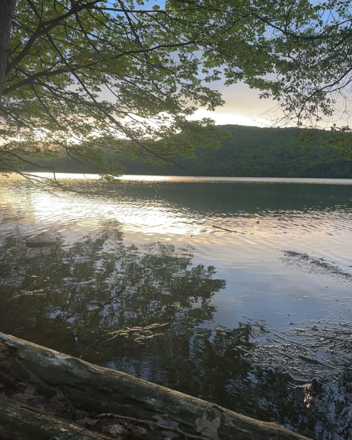 Greta Morgan Embraces Lush Spring Sunrises