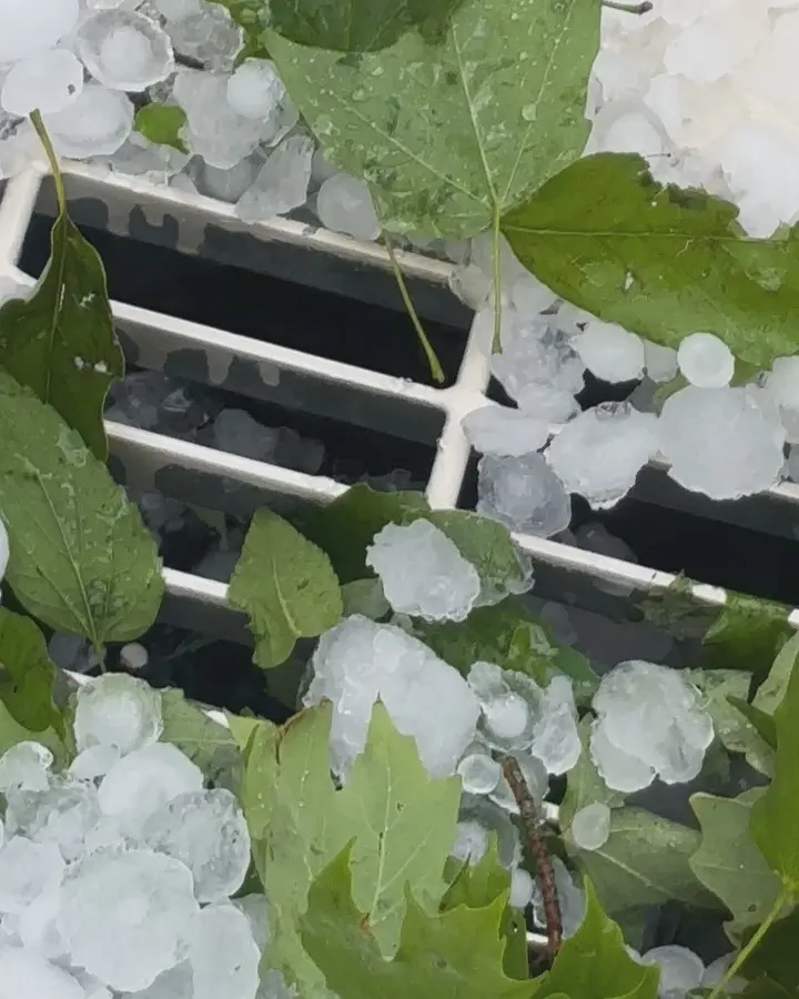 Hail Storm Shocks Chris Janson’s Icy Beard Moment