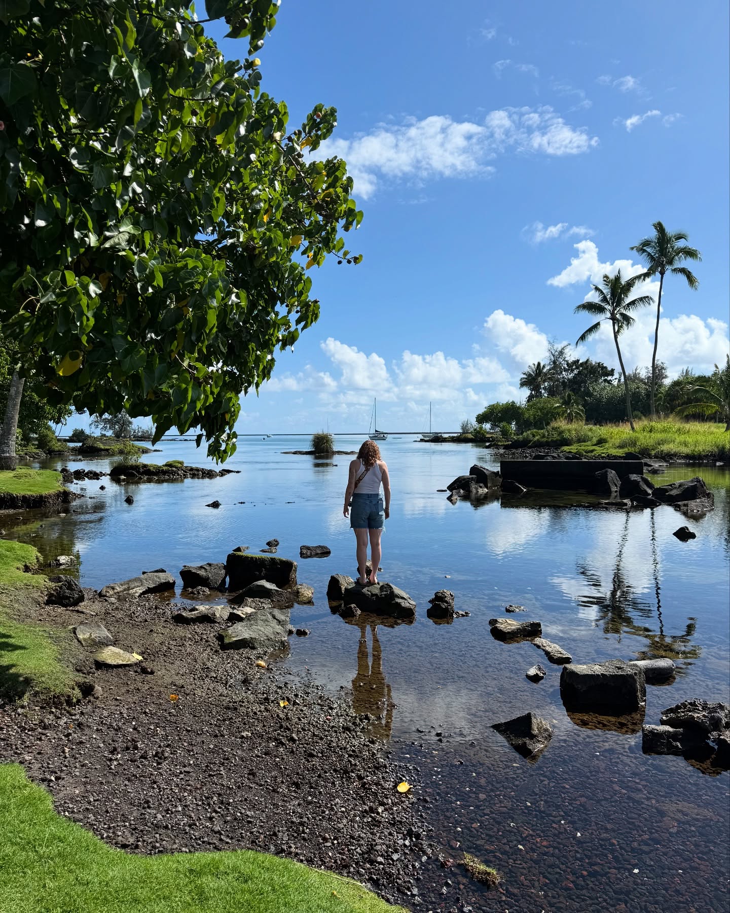 Hawaii Love: Joey Bragg Celebrates Wild Feline Invasion