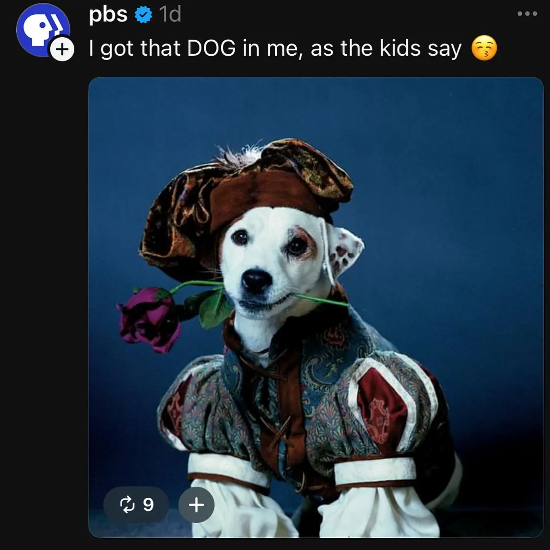 Hayley DeRoche Shares a Bountiful Meme Harvest