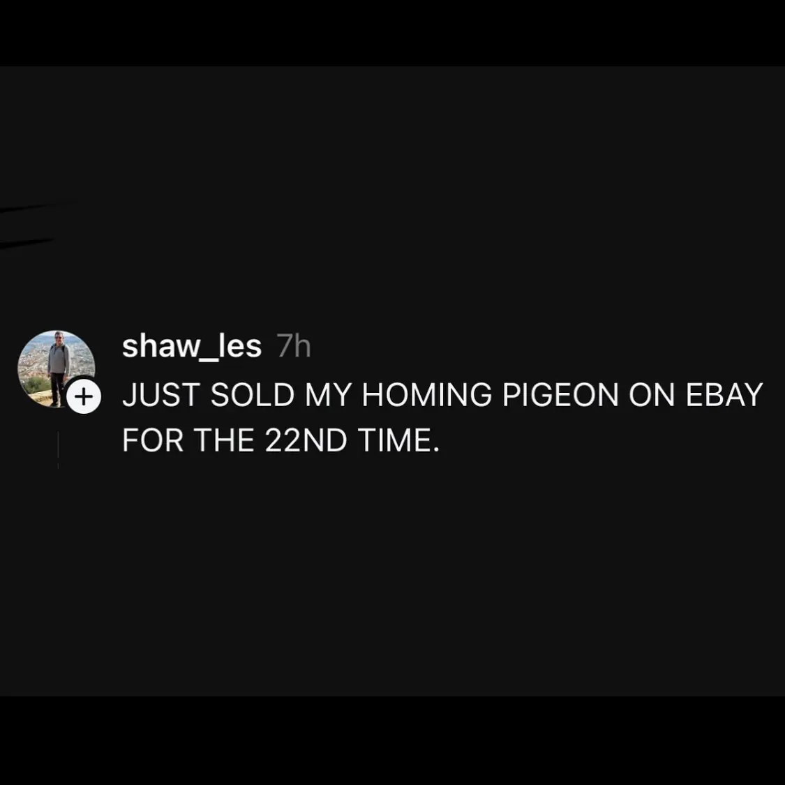 Hayley DeRoche Shares a Bountiful Meme Harvest