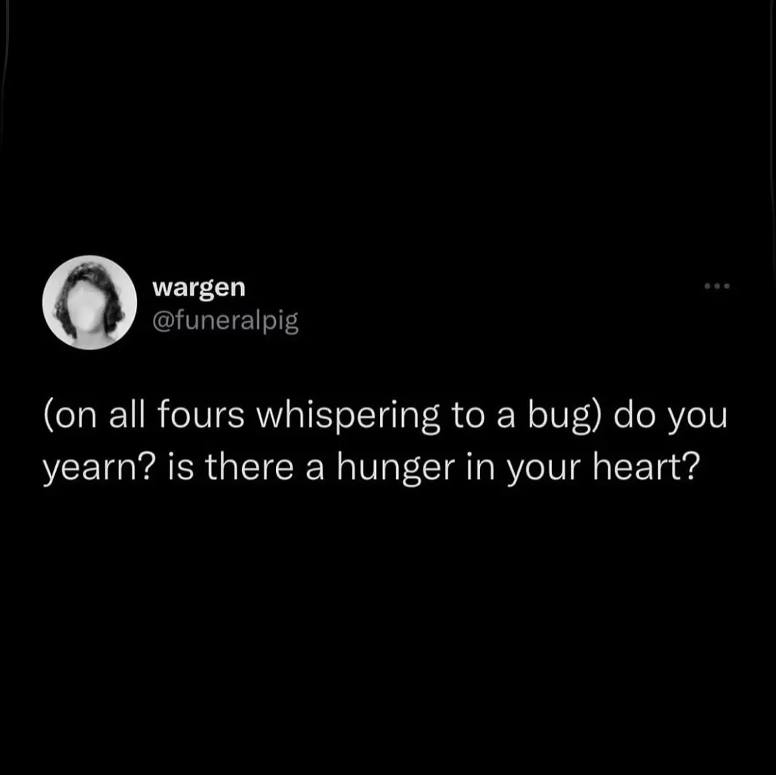 Hayley DeRoche Shares a Bountiful Meme Harvest