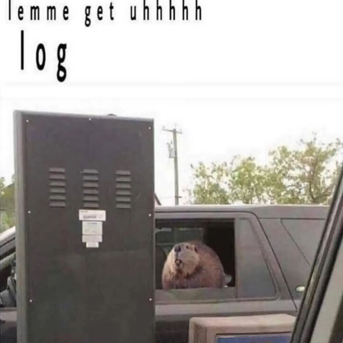 Hayley DeRoche Shares a Bountiful Meme Harvest