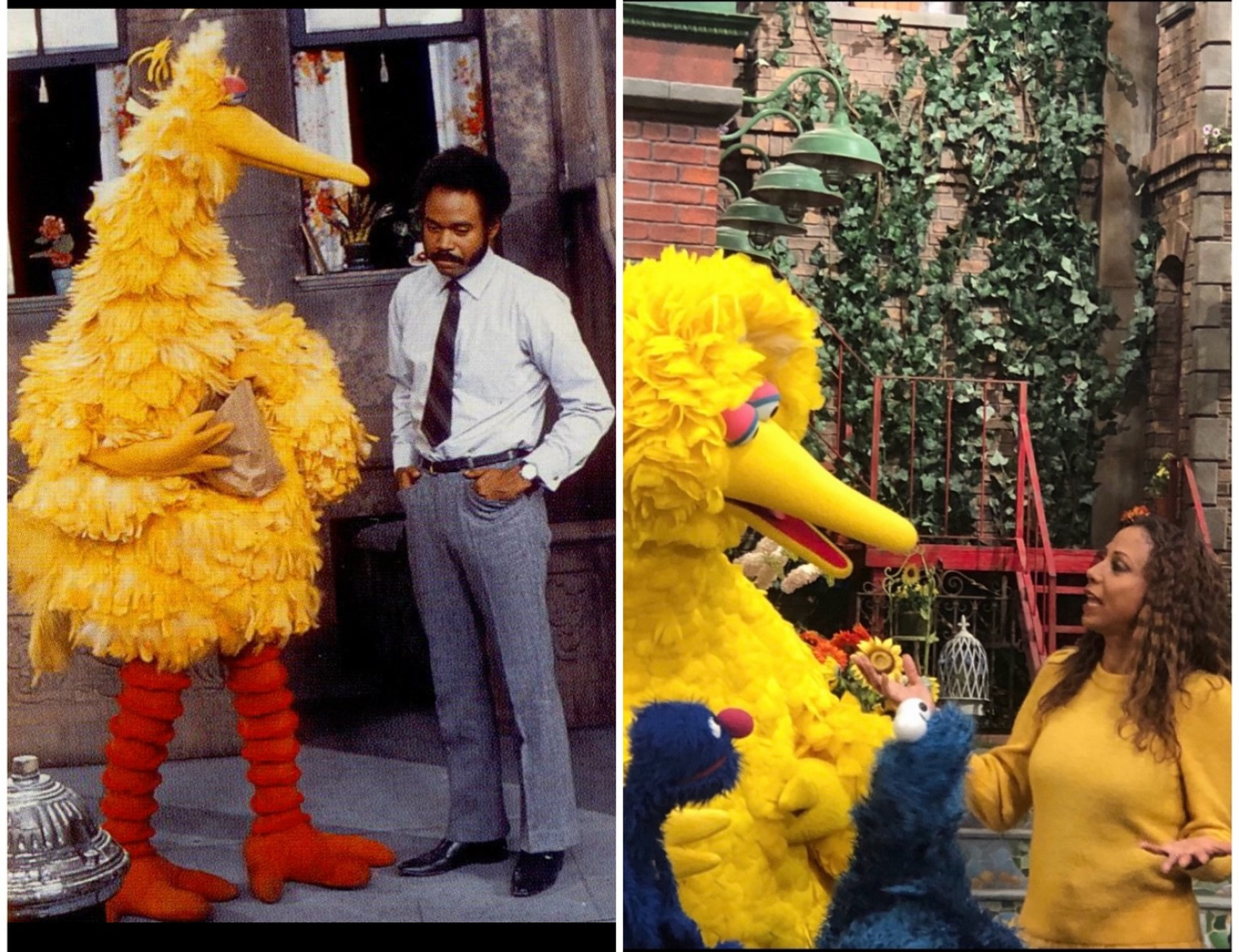 Holly Robinson Peete Honors Sesame Street Legacy Celebrating a legacy of inclusion and creativity, Holly Robinson Peete honors classic TV!!