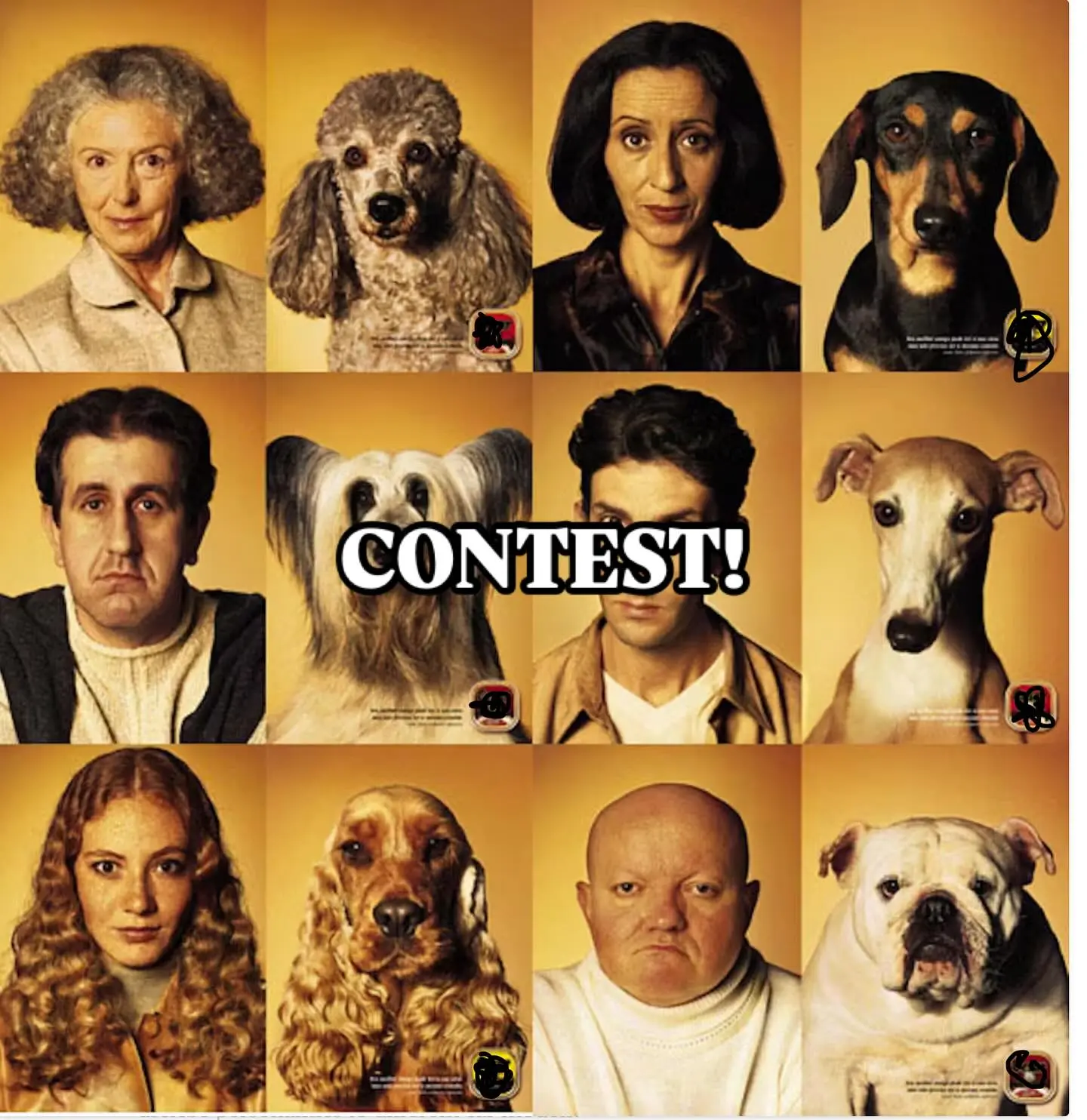Jane Wiedlin Launches ‘Just Like My Dog’ Contest Submit your pet photos and videos for a chance at a music video cameo and exclusive phone chat.