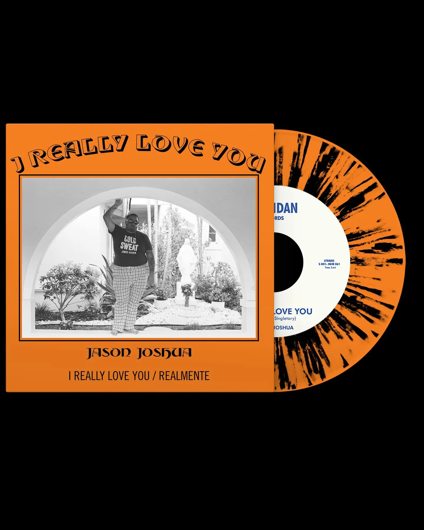 Jason Joshua's Sonny Vinyl Sparks Fan Frenzy