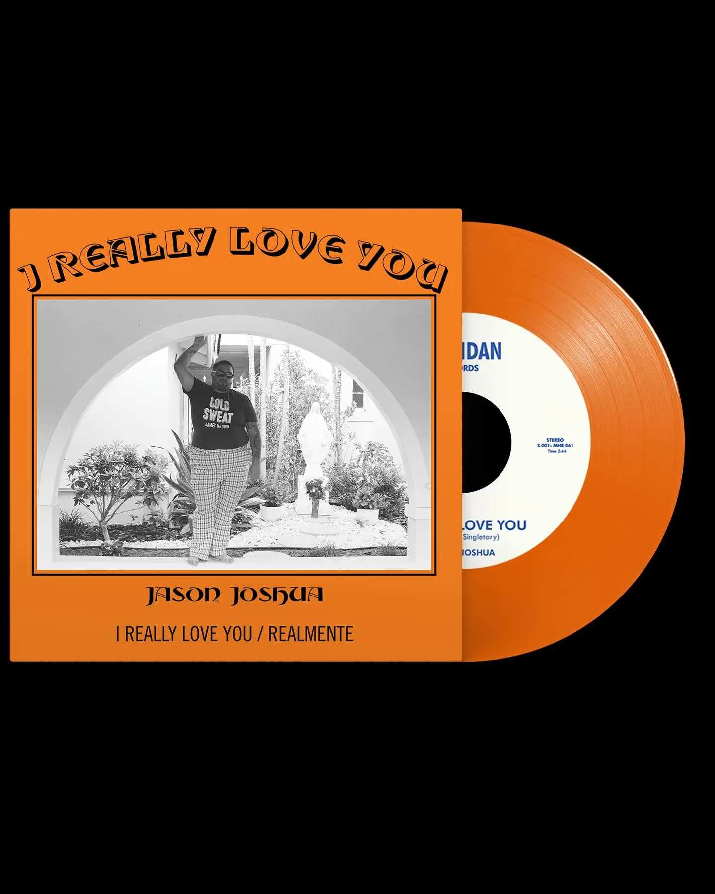 Jason Joshua's Sonny Vinyl Sparks Fan Frenzy