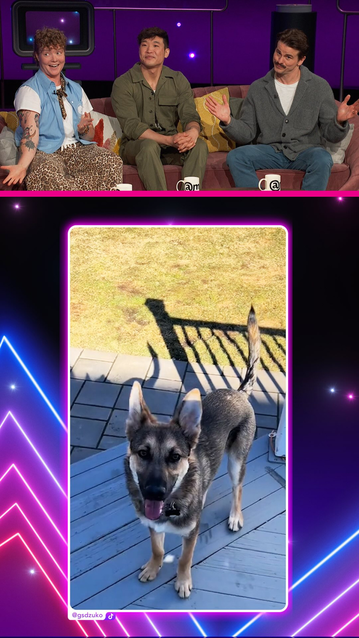 Jason Ritter Spots A Clever Canine On Social Media Jason Ritter celebrates a clever dog on Instagram, merging wit and charm so superb.