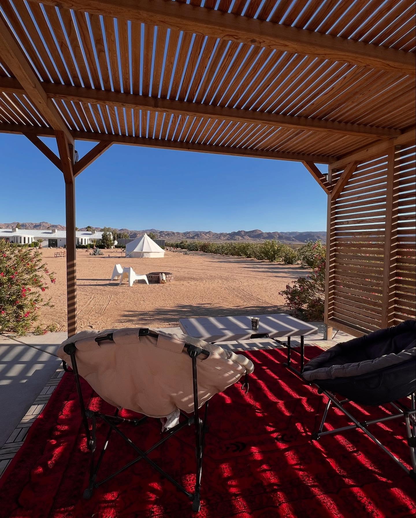 Jerri Manthey's Desert Quest In Joshua Tree