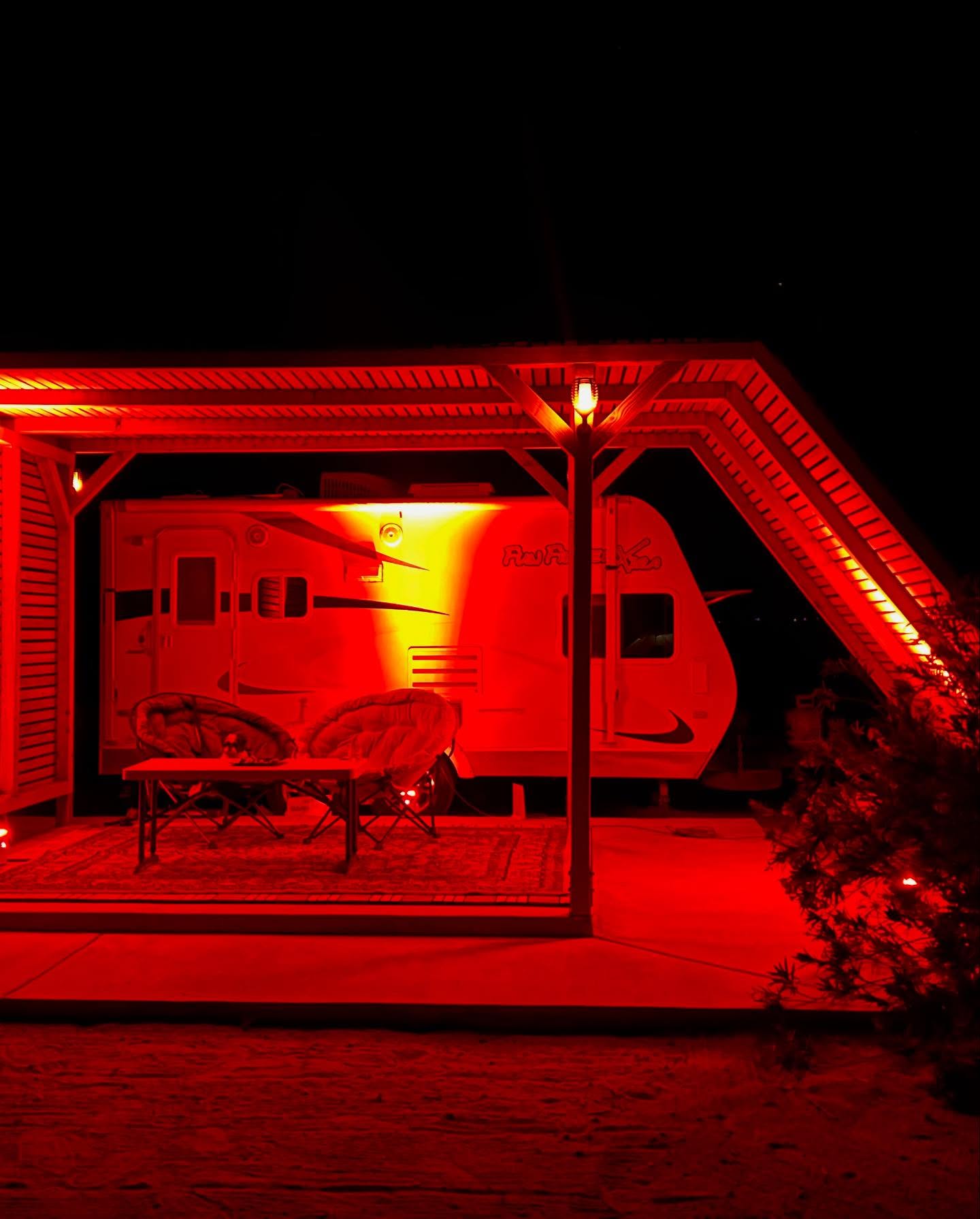 Jerri Manthey's Desert Quest In Joshua Tree