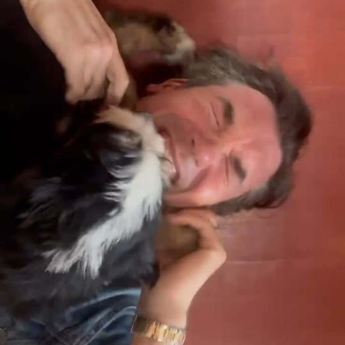 Jerry O’Connell And The Dog Dilemma O'Connell's offhand dog remark stirs buzz on celebrity pet preferences in Hollywood today