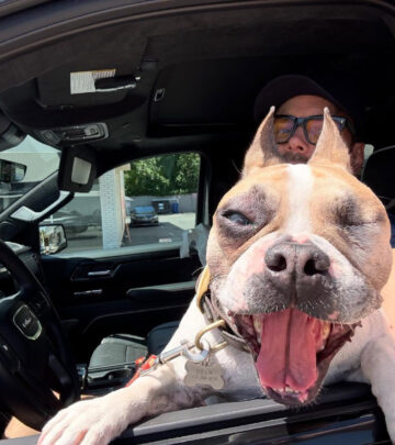 Joel McHale Debuts Quirky Dog Alarm System