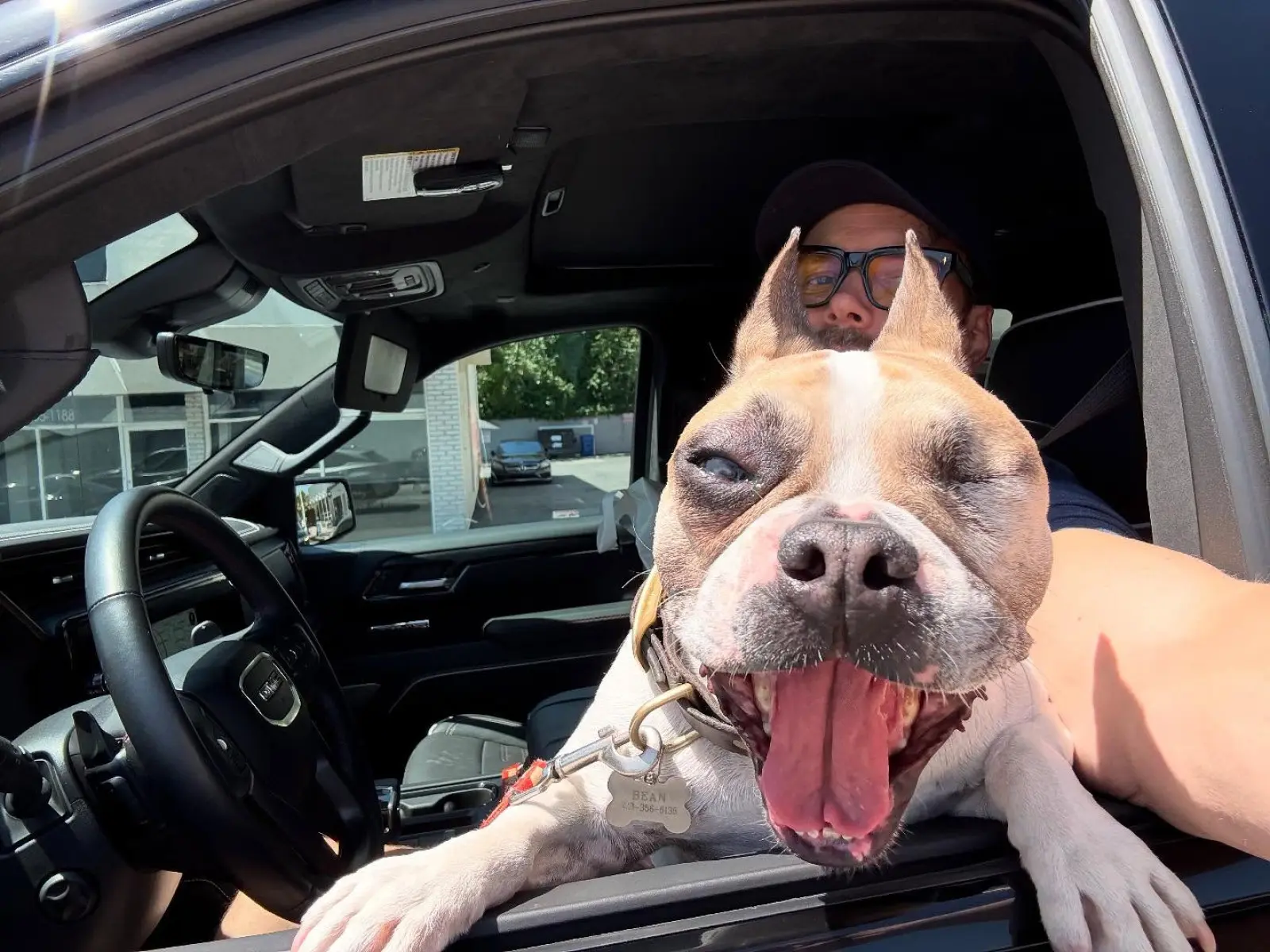 Joel McHale Debuts Quirky Dog Alarm System McHale's post mixes tech upgrades with vibrant canine alarm flair for a fresh twist today!