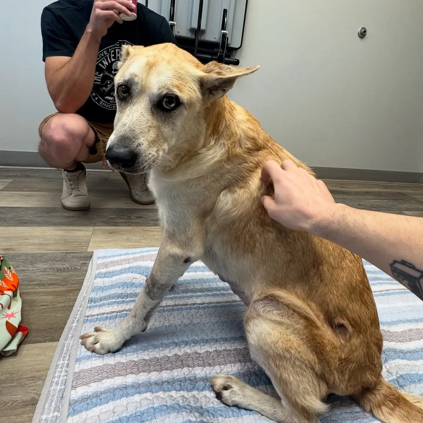 Josh Katz of Badflower Mourns Beloved Dog on Instagram Fans sent love and support as the rocker’s touching farewell post circulated widely online
