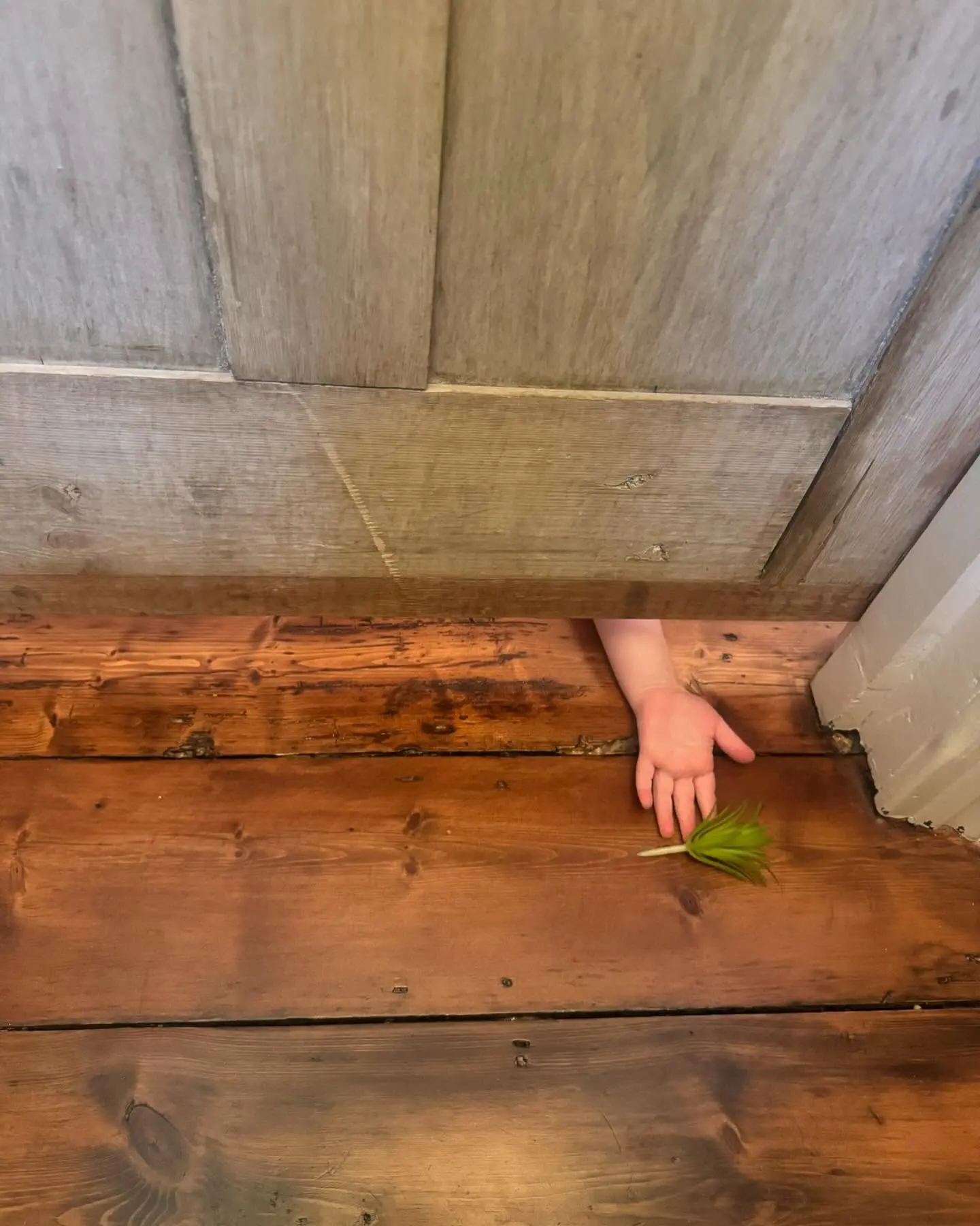 Josh Widdicombe’s Bold Toilet Tweet Sparks Laughter Comedian reveals his need for space as bathroom solitude becomes a viral, humorous moment!