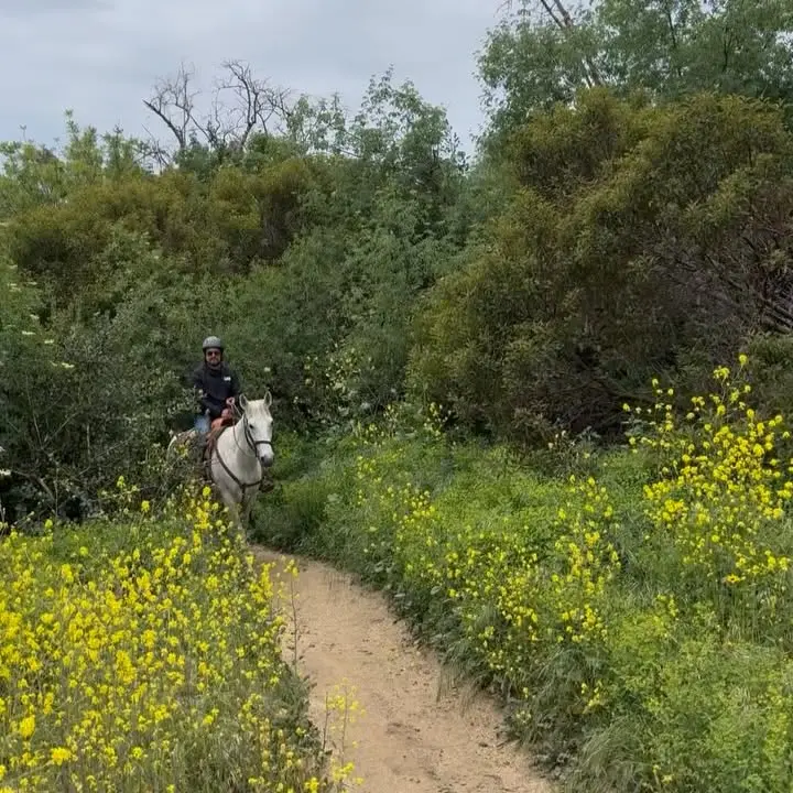 Julie Benz Enjoys Cowgirl Birthday Ride
