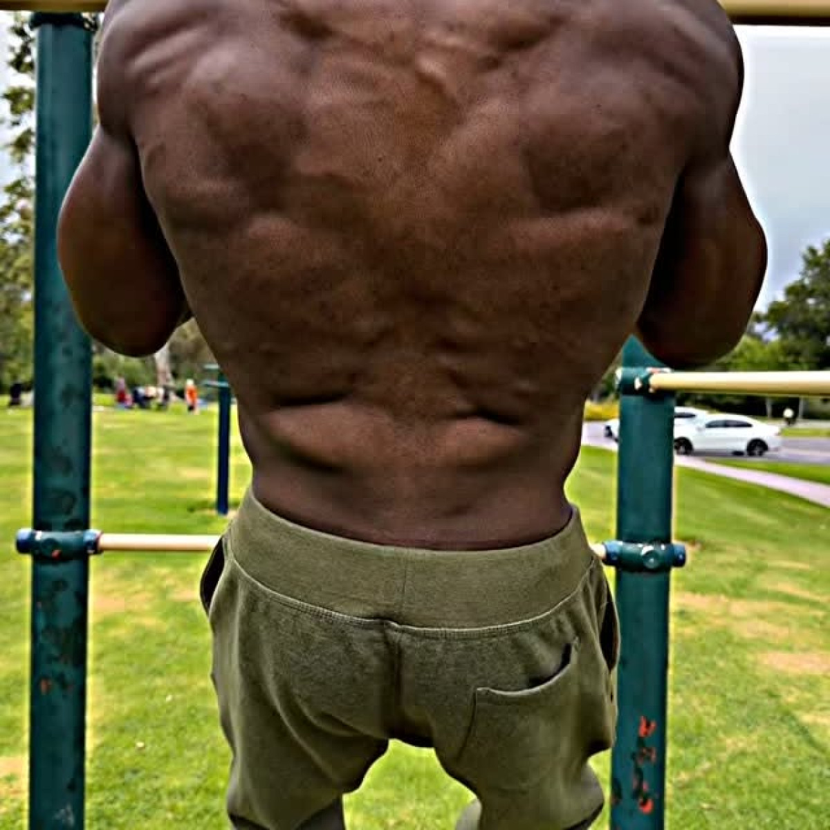 Kali Muscle Unveils Dedicated Work Ethic On Instagram Fierce work ethic meets uncompromising power in an Instagram fitness journey today.